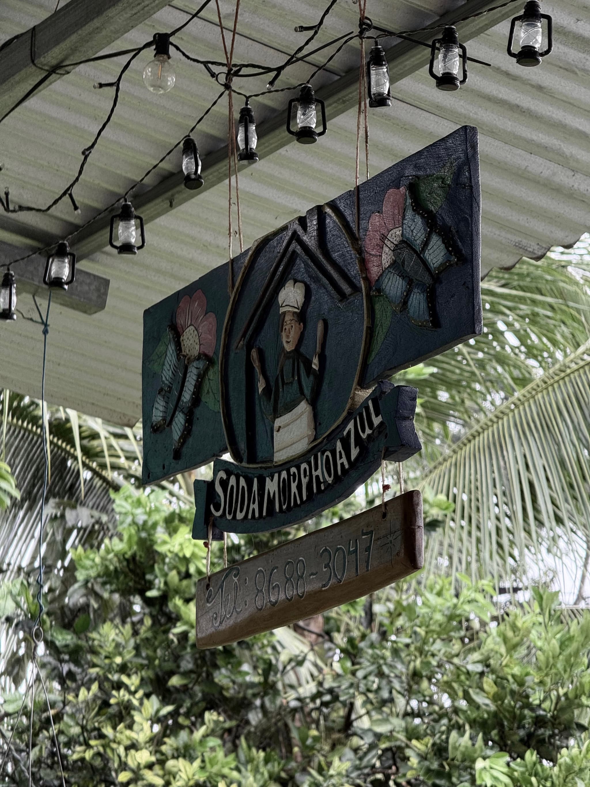 Hanging wooden signs for “Soda Morpho Azul” under a corrugated metal roof with string lights, set against lush green tropical foliage